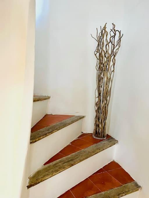 Maison Charmante Avec Terrasse, 2 Chambres Marseillan  Εξωτερικό φωτογραφία